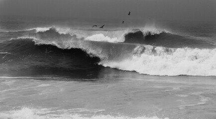 stormy ocean with seagulls flying in black and white 
