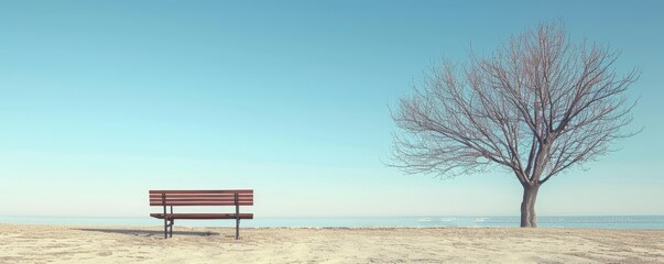 A serene scene of an empty bench and a leafless tree under a clear blue sky, evoking solitude and calmness in a minimalist landscape.