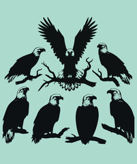 Obraz premium Eagle Birds 