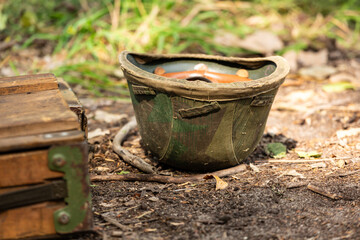 Fototapeta premium WWII german helmet on the ground. Wehrmacht m35 ( stahlhelm ) helmet in cover. Camouflage type Splinter ( splittertarnmuster )