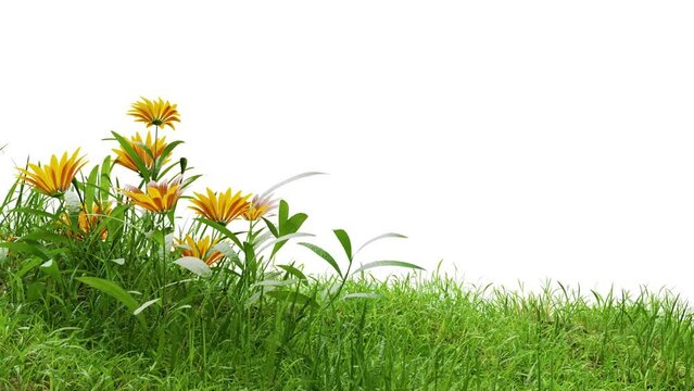 footage of grass with flowers animation with alpha, 3d illustration rendering