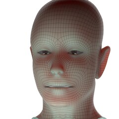 3d rendered illustration of a head