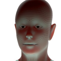 3d rendered illustration of a head