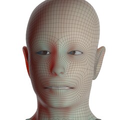 3d rendered illustration of a head