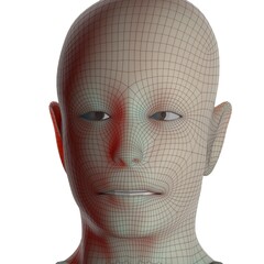 3d rendered illustration of a head