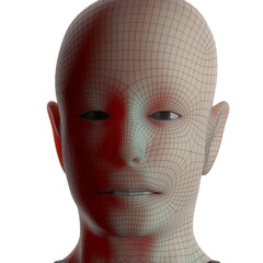 3d rendered illustration of a head