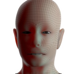 3d rendered illustration of a head