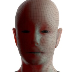 3d rendered illustration of a head