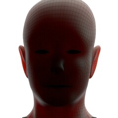 3d rendered illustration of a head