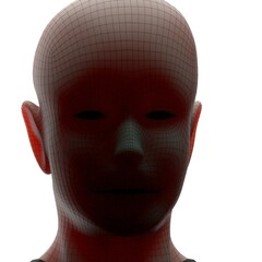 3d rendered illustration of a head