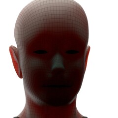 3d rendered illustration of a head