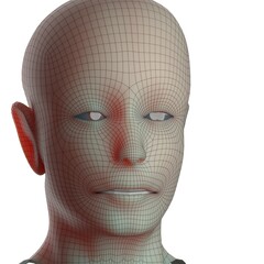 3d rendered illustration of a head