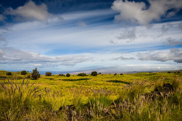 Kahuku Unit - Hawaii (Big Island,) HI © Sandra Foyt