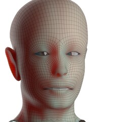 3d rendered illustration of a head