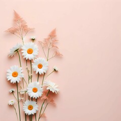 Obraz premium Minimal styled concept. White daisy chamomile flowers on pale pink background. Creative lifestyle, summer, spring concept. Copy space, flat lay, top view.