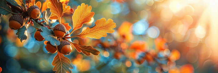 Sunlit Autumn Leaves and Acorns in Vibrant Bokeh Background