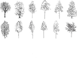 Minimal style cad tree line drawing, Side view, set of graphics trees elements outline symbol for architecture and landscape design drawing