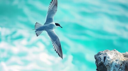  A seagull flying over a rocky outcropping, foreground features a body of water and a single rocky outcropping