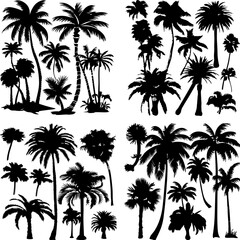 black tree silhouette set label protection silhouette graphic pine drawing trunk woodland shape illustration set wild cedar collection evergreen symbol black card needles spruce