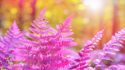  A pink plant, tightly framed, surrounded by a softly blurred backdrop of trees and bushes Sunlight filters through the trees in the distance - Powered by Adobe