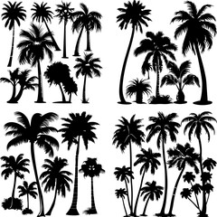 black tree silhouette set set tropics hawaii graphic paradise outline contour jungle africa climate clip art monochrome single figure growth stem border group oak print rainforest gardening