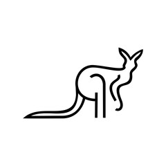 kangaroo Vector