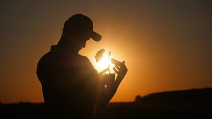 A young farmer examines a sprout in the rays of the setting sun, rear view