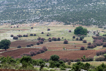 Fields in Kayabasi in the northeast section of the Akoren Ancient City in Aladağ district of Adana...