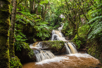 Onomea Falls - Hawaii Tropical Botanical Garden - Hawaii (Big Island,) HI