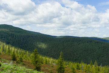 landscape with mountains and clouds green forest carpathians 