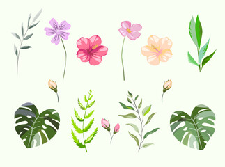 Floral collection with exotic tropical leaves and flowers. Simple romantic elements for sticker textile or print. Vector design isolated elements on the white background. Monstera.