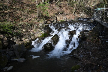 新緑の浅間大滝　滝の入り口