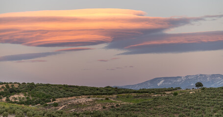 Huge lenticular clouds over hills of olive trees in Andalucia (Spain) at sunset