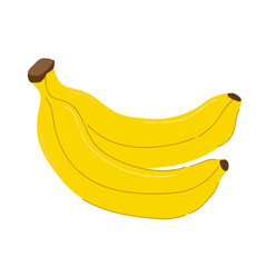 Natural exotic banana in yellow skin.