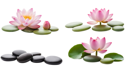 lotus flower and zen stones on white background