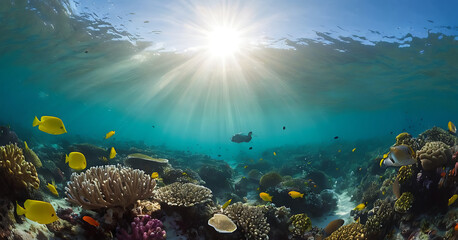 Obraz premium A vibrant coral reef teeming with life, bathed in sunlight filtering through the clear blue water. The image showcases the beauty and diversity of marine life, with colorful corals and fish in their n