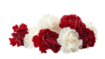 Elegant Arrangement of Red and White Carnation Flowers isolated on transparent background
