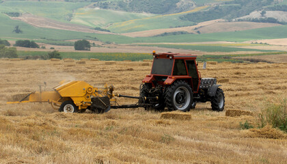 Fototapeta premium Baling stubble for animal feed after harvest in a wheat field