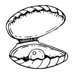 Pearl in sea shell black and white vector illustration . Hand drawn ink sketch of freshwater pearl mussels. Monochrome drawing for underwater and marine designs