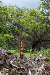Wooden tiki garden art on a rock pile, with trees in the background, in a park like setting, Maui,...