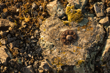 Stone with a rusty screw. Jeghegnadzor, Armenia.