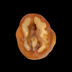 Walnut sausage one on black background