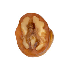 Walnut sausage one on white background