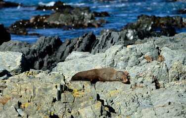 Becareful, those rocks move!