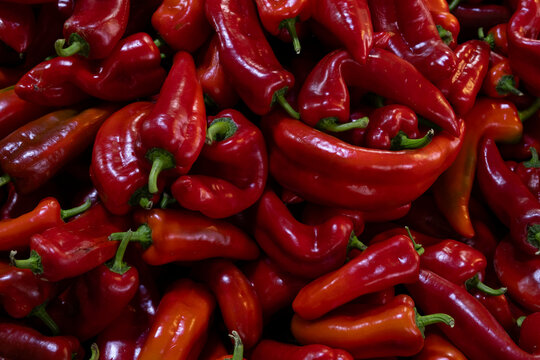 Fresh capia pepper sold in the market