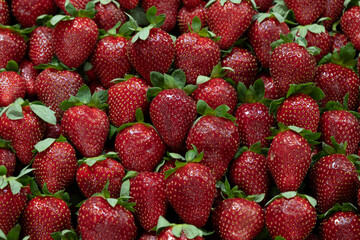 Fresh strawberries from the market