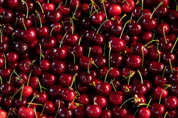 fresh cherries sold in the market