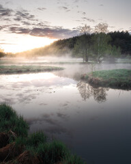 Tranquil Marshland Scene at Dawn