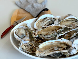 Fresh Shucked Pacific Oysters on a Plate with Ice. Shellfish Shucker, Glove and Wooden Table in the Background. Farmed Seafood. Sustainable Aquaculture. Made in USA. 
