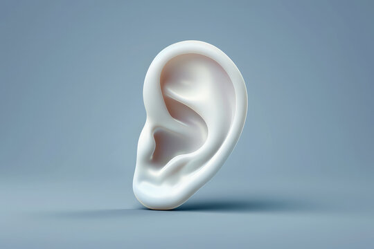 3d model of a white ear